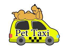 pettaxi.jpg